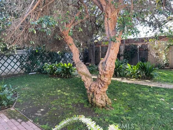 a view of a backyard with large trees