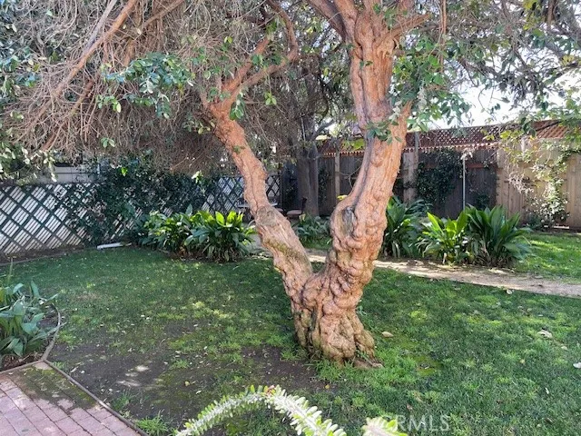 a view of a backyard with large trees