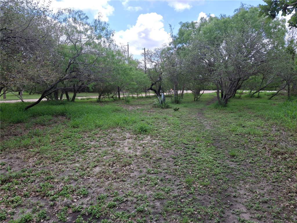 9213 Pvt 6005 Road Sinton, TX 78387 - Photo 7 of 24