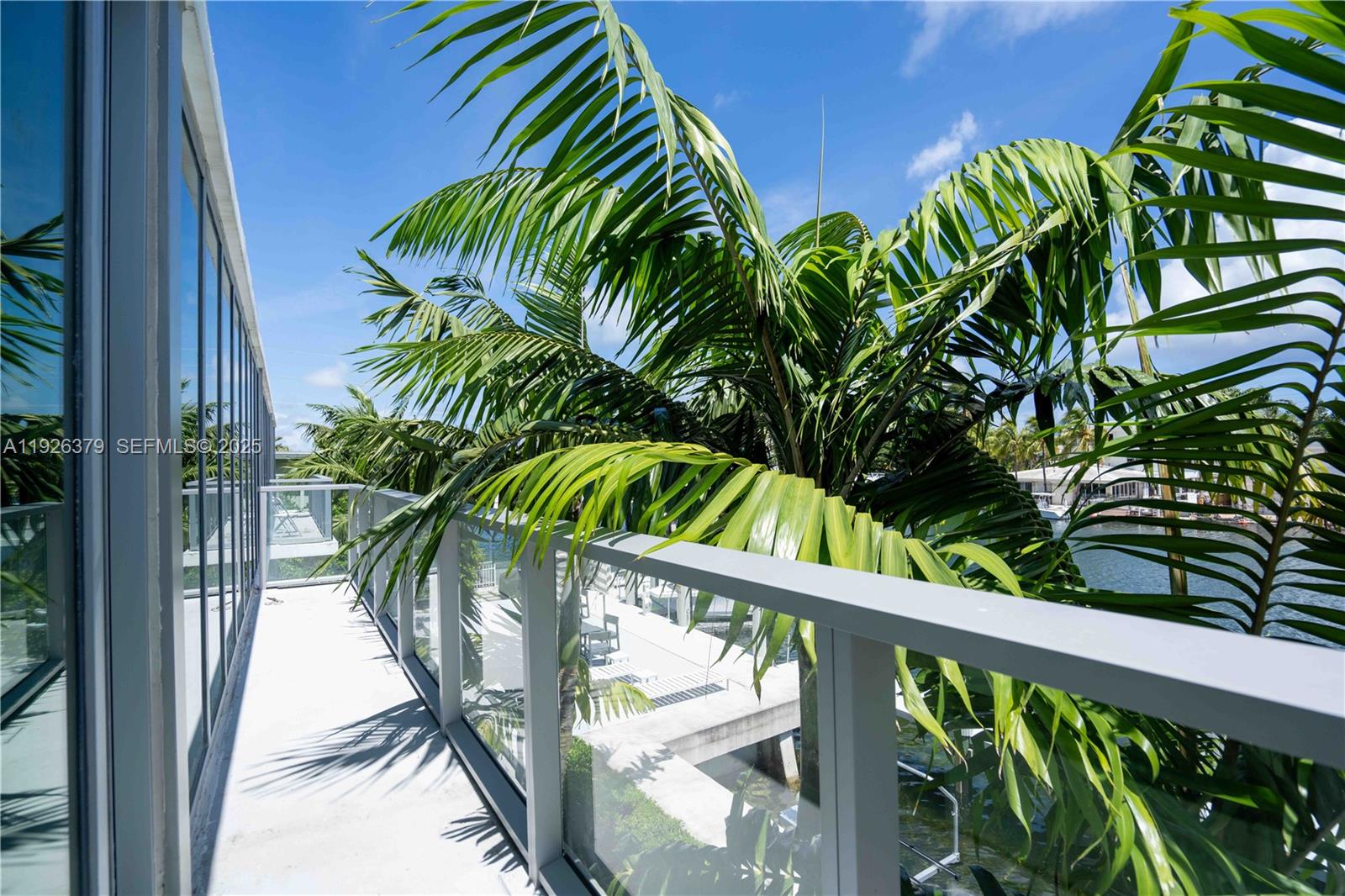8425 Crespi Boulevard, Unit TH3 Miami Beach, FL 33141 - Photo 6 of 28 a view of a palm plant from a balcony