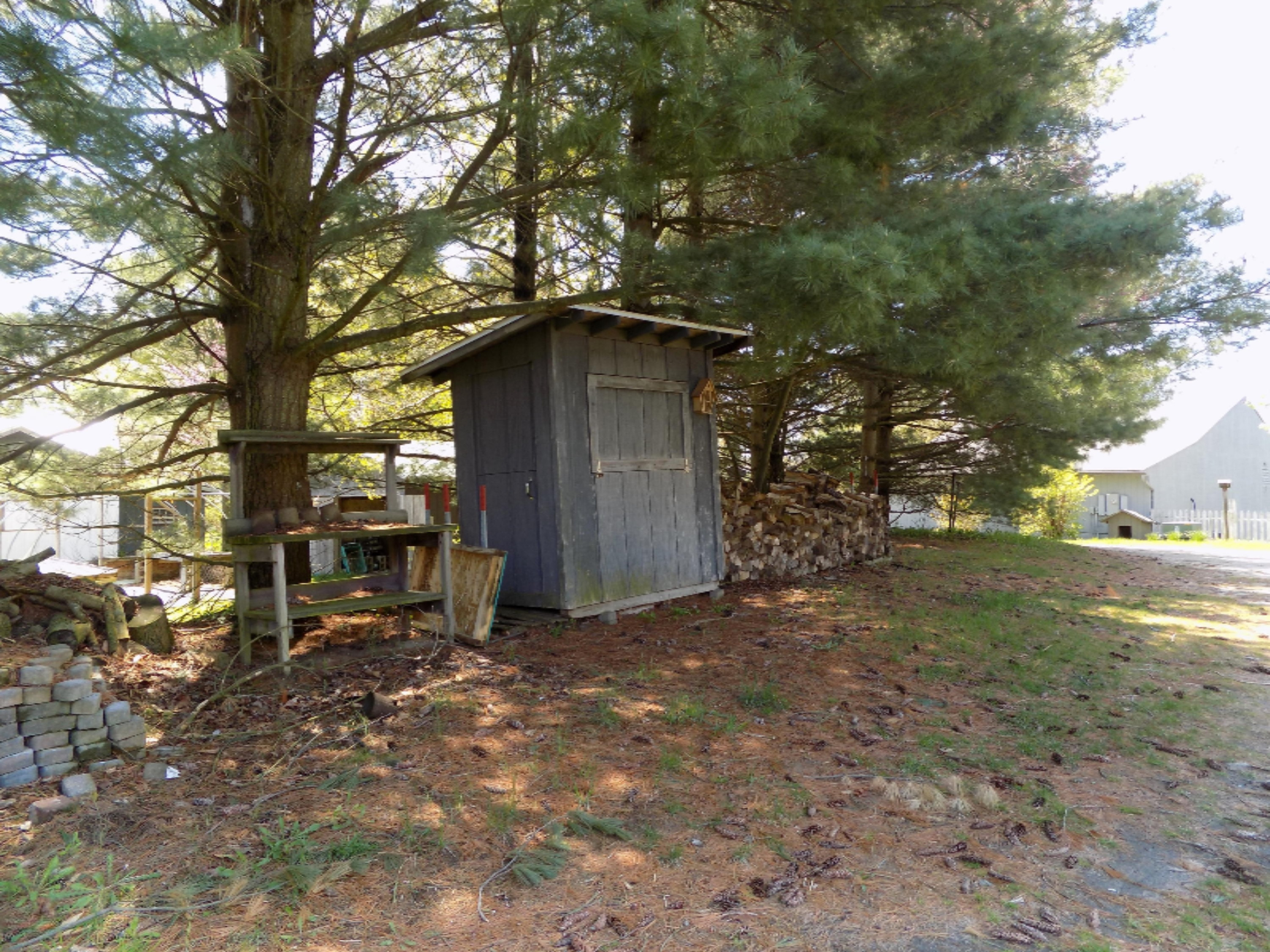 5613 Riverside Road Coloma, MI 49038 - Photo 31 of 32 DSCN5517