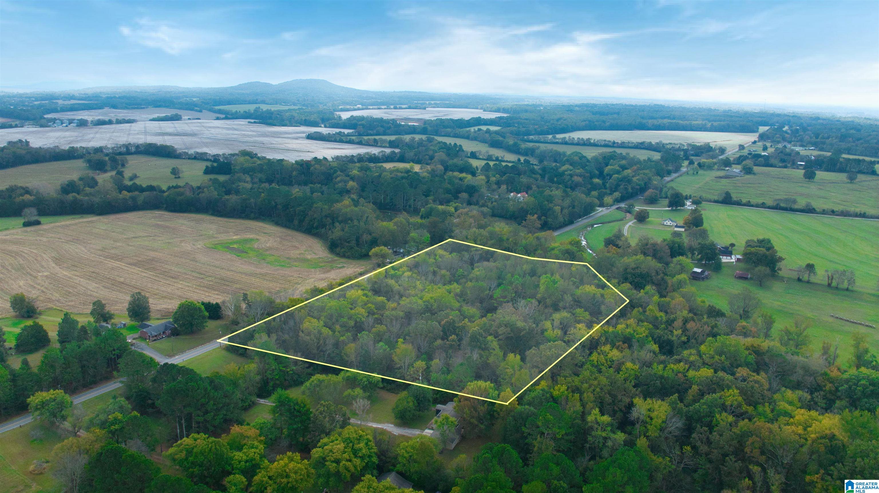 0 South Love Branch Road Toney, AL 35773 - Photo 6 of 26