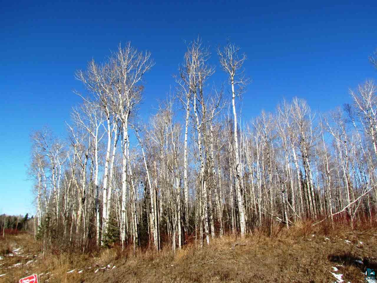 Xxxx Old North Shore Road Duluth, MN 55804 - Photo 3 of 8 Gallery Image 3