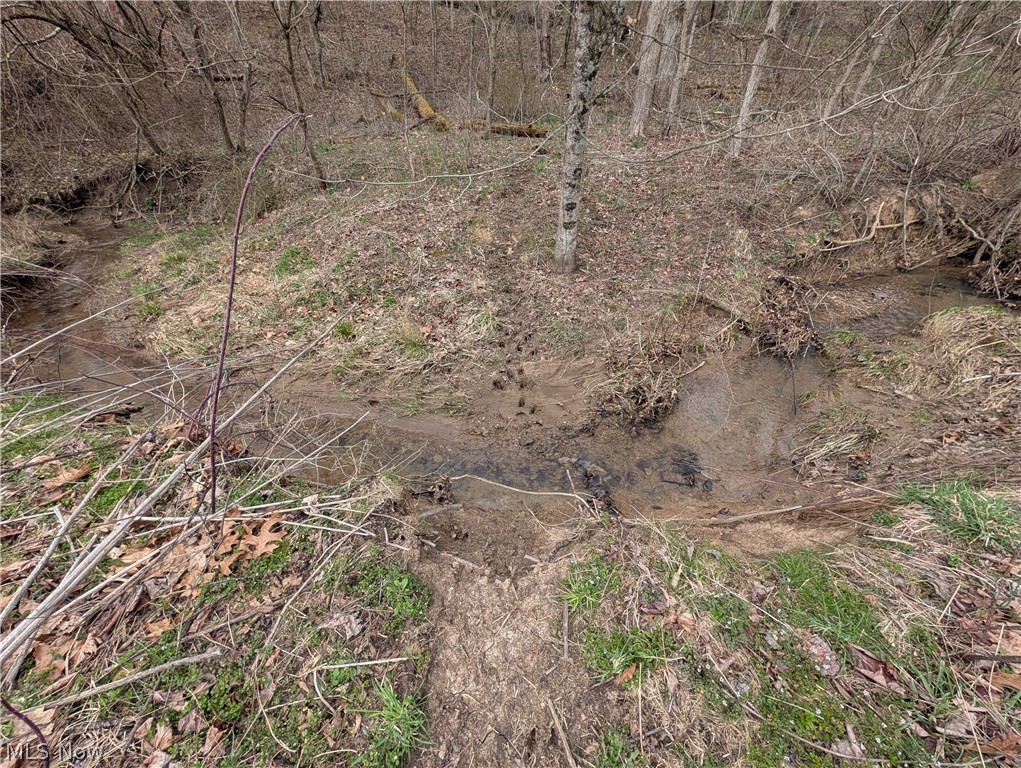 39000 Lees Run Road Cadiz, OH 43907 - Photo 16 of 49