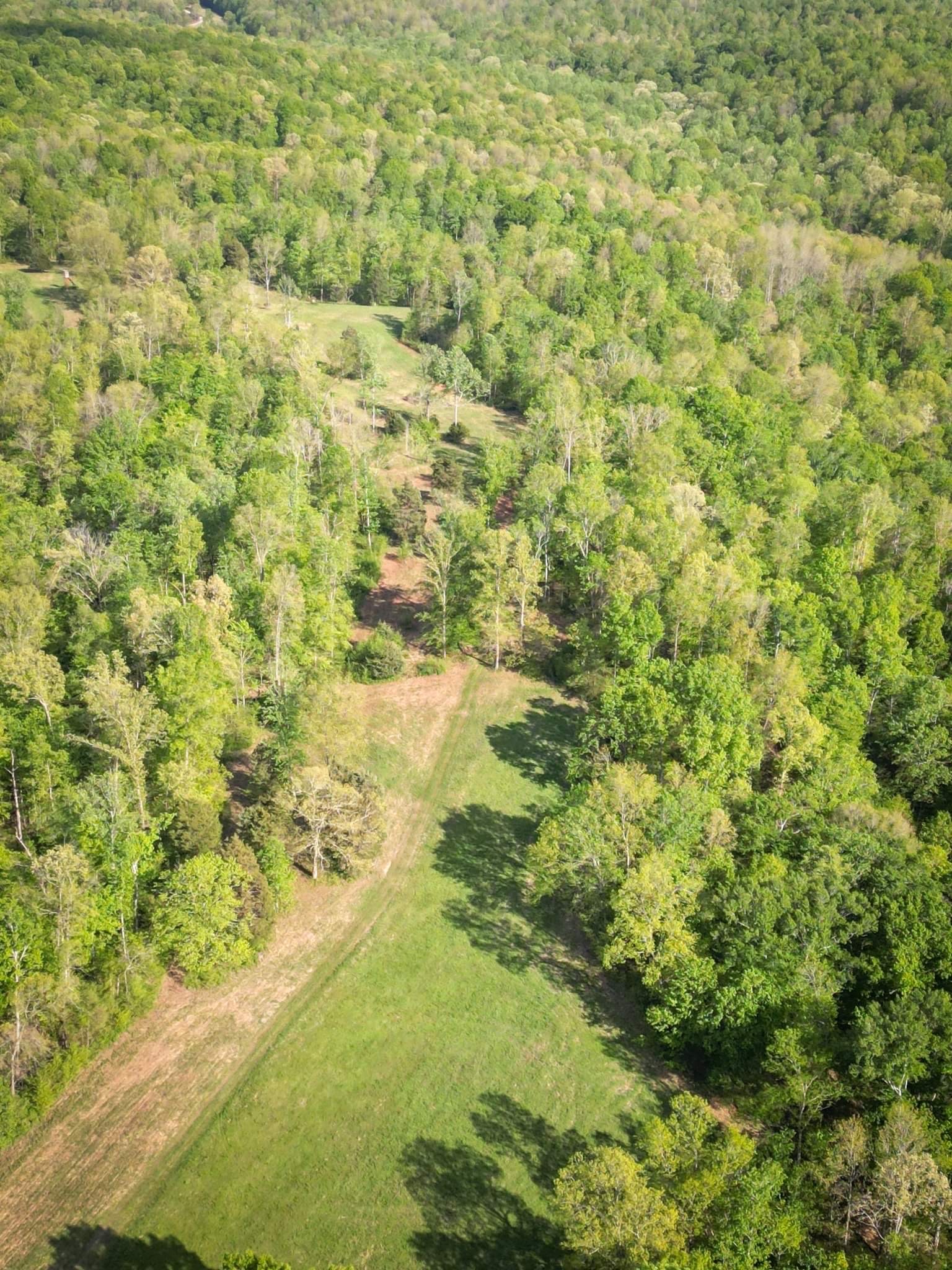 0 Smith Hollow Road Dickson, TN 37055 - Photo 8 of 10 Gallery Image 8