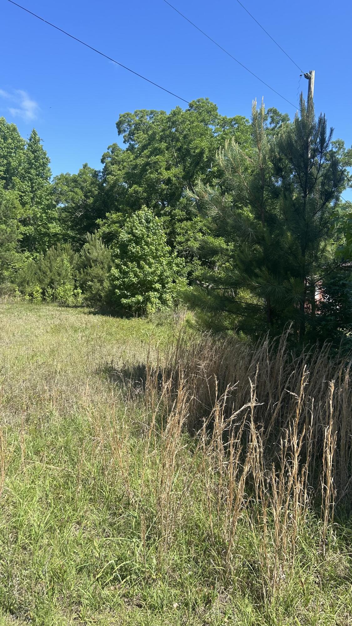 0 Pleasant Grove Road Walterboro, SC 29488 - Photo 3 of 6