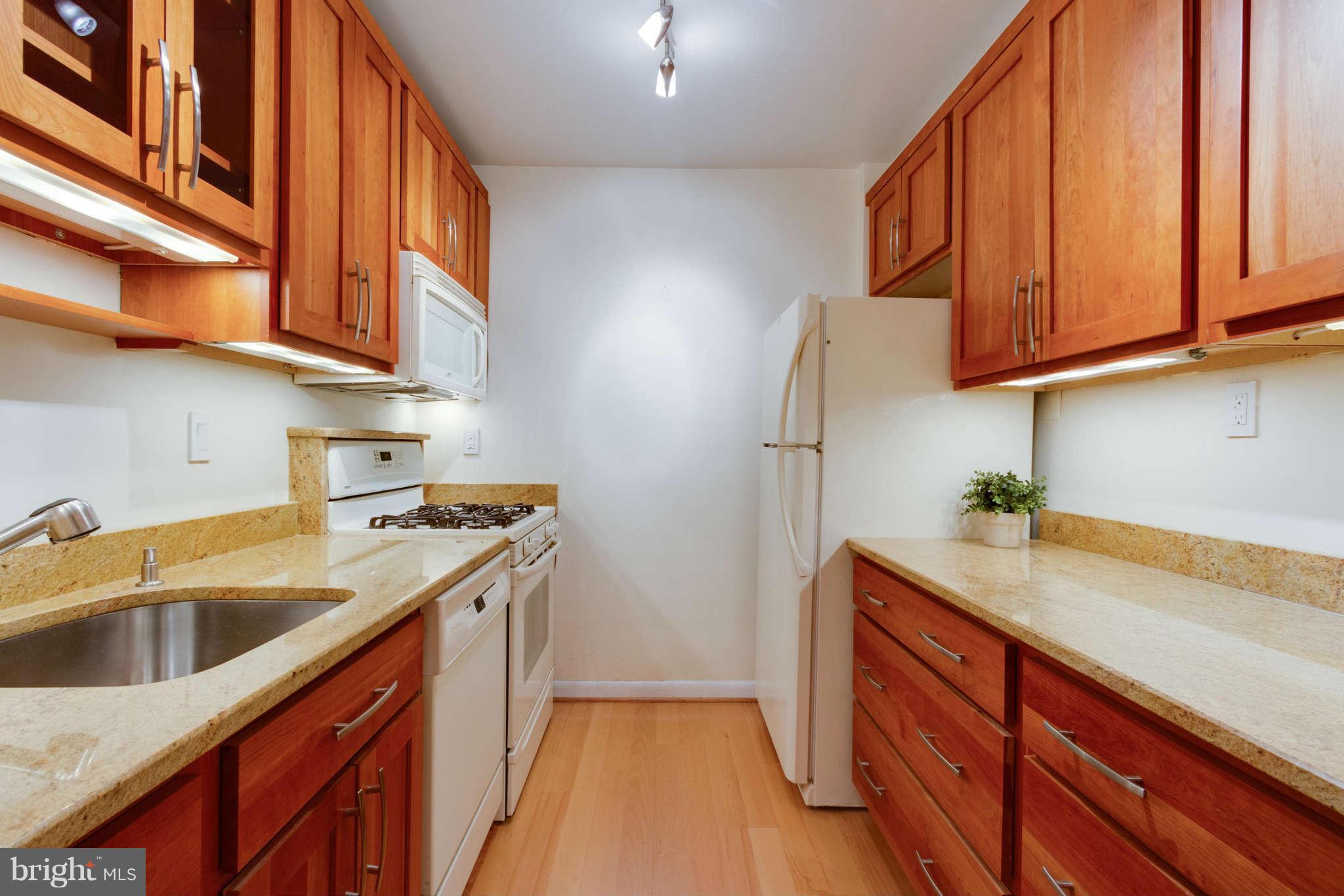 1880 Columbia Road Northwest, Unit 304 Washington, DC 20009 - Photo 2 of 28 Kitchen