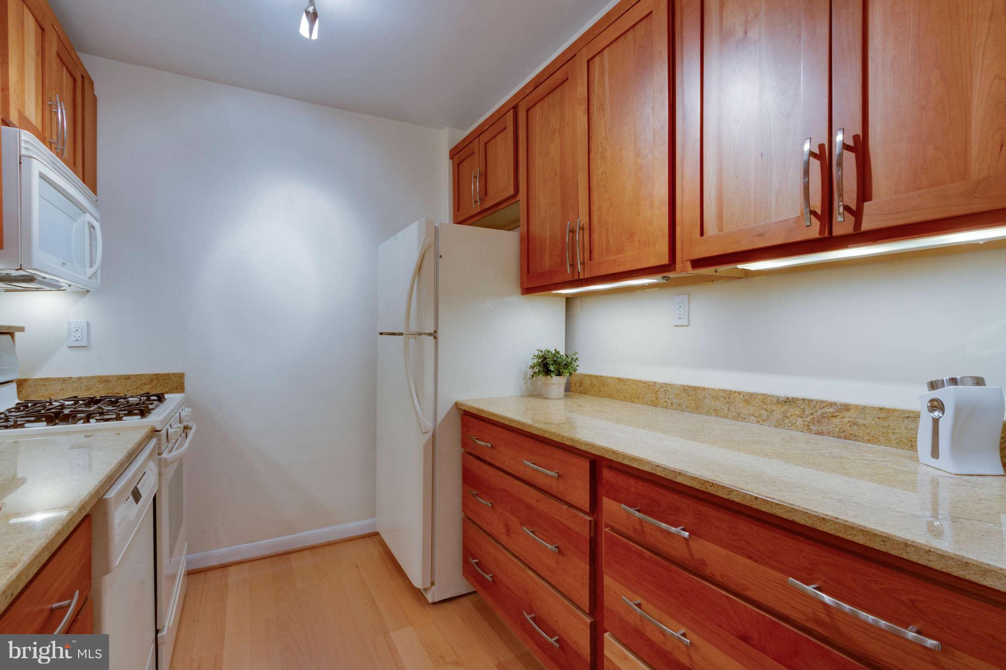 1880 Columbia Road Northwest, Unit 304 Washington, DC 20009 - Photo 3 of 28 Kitchen