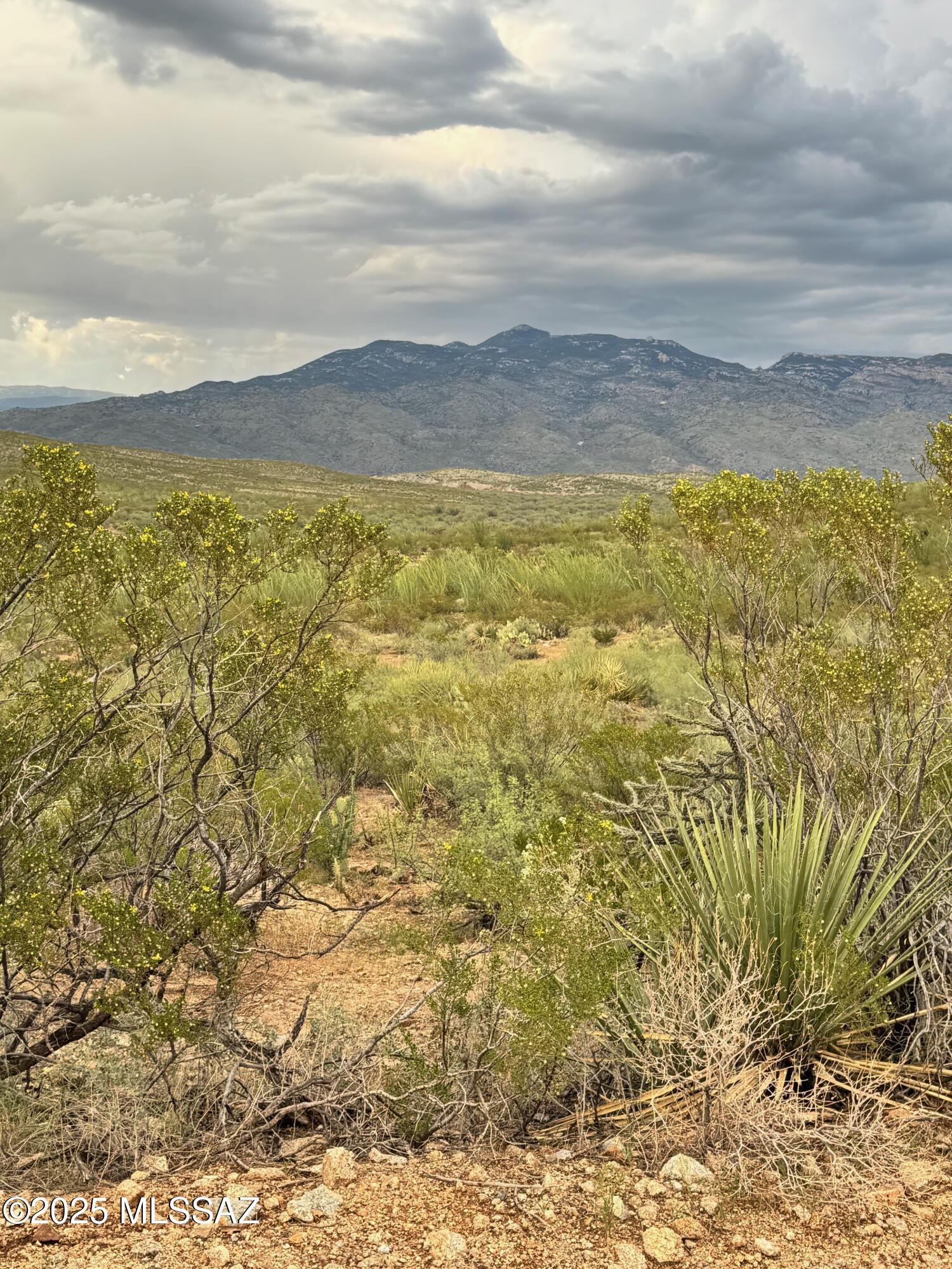 0 Justa Road Vail, AZ 85641 - Photo 21 of 44