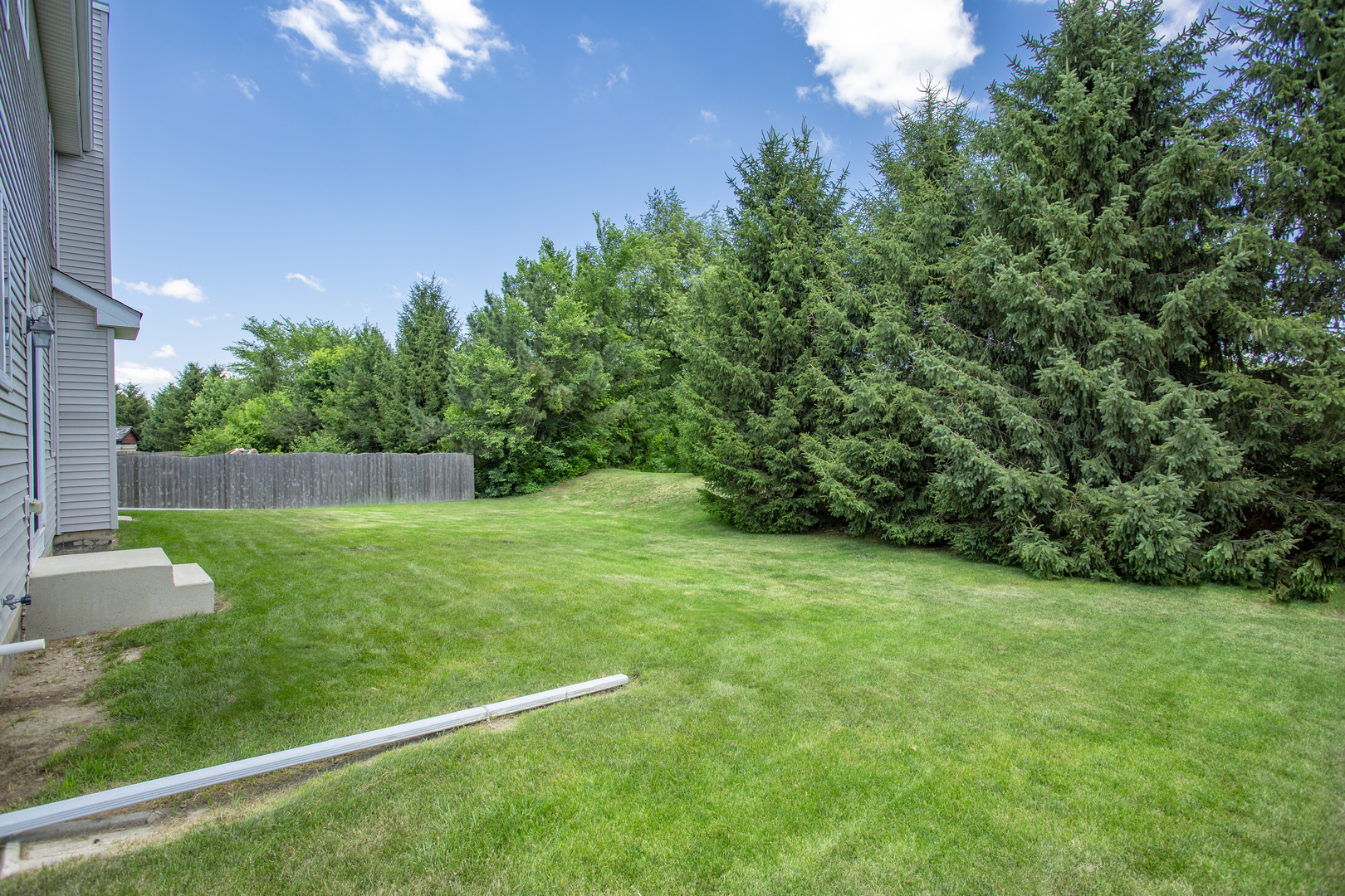 220 Stearn Drive Genoa, IL 60135 - Photo 4 of 42 a view of a backyard with a garden