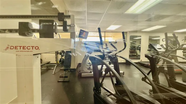 a view of a trees with a yard