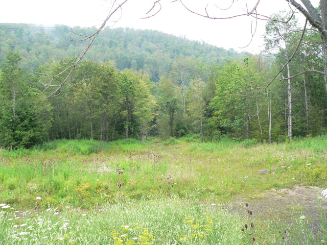 0 Wyncoop Creek Road Erin, NY 14838 - Photo 1 of 1
