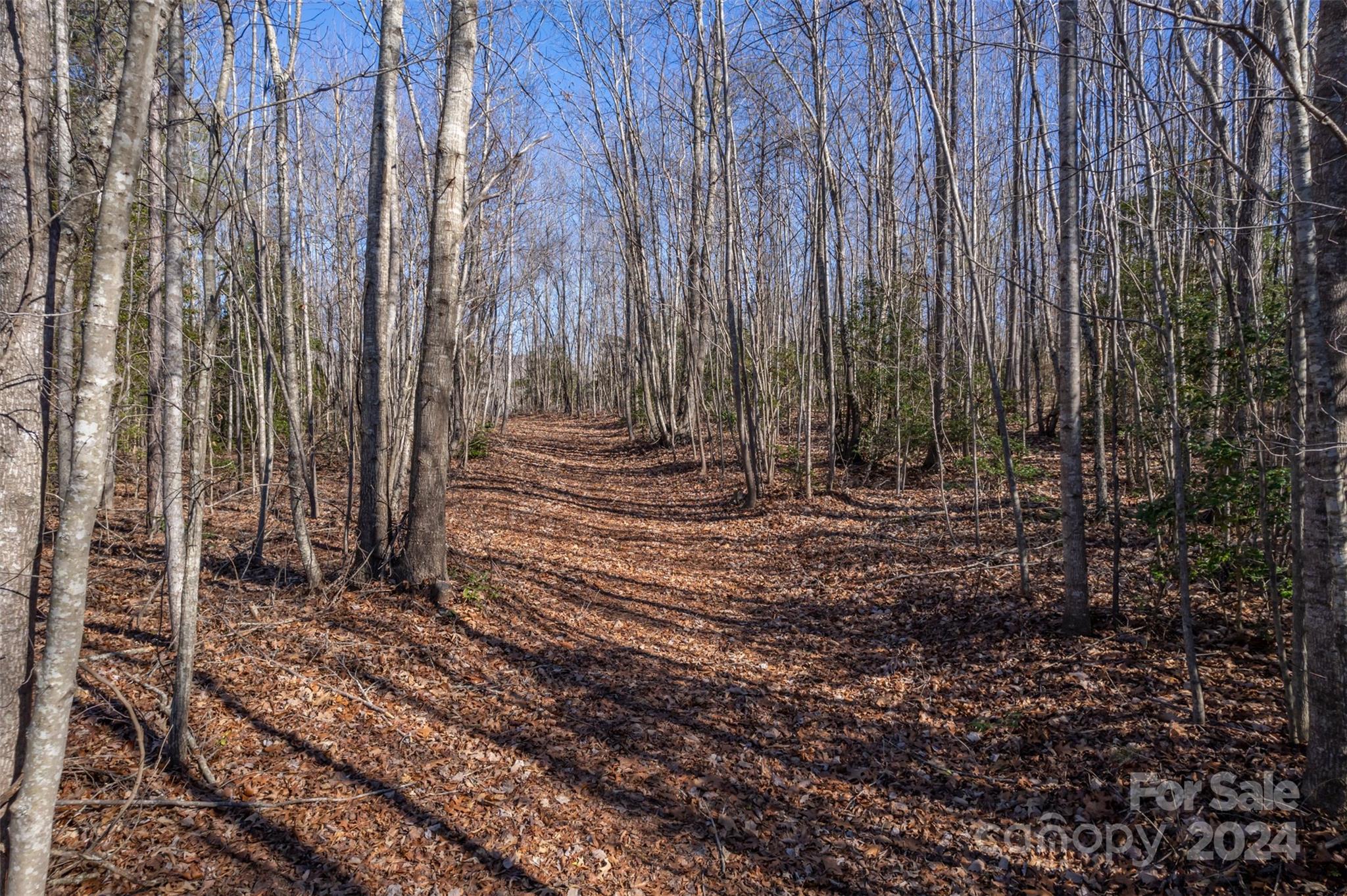 370 Depriest Road Bostic, NC 28018 - Photo 16 of 19 a view of a backyard with trees