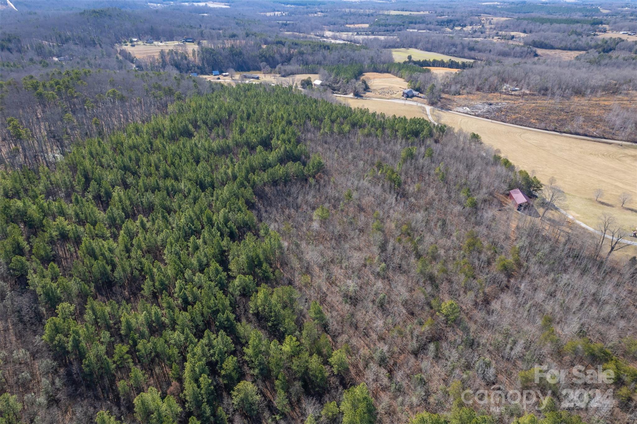 370 Depriest Road Bostic, NC 28018 - Photo 17 of 19 a aerial view of a house with a yard and large tree