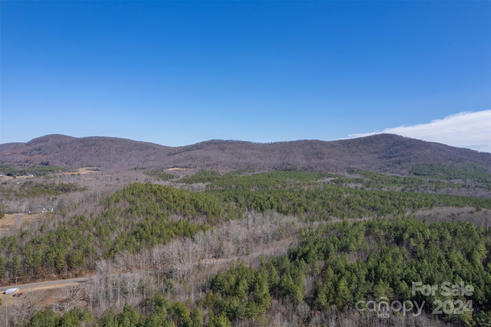 370 Depriest Road Bostic, NC 28018 - Photo 18 of 19 a view of a lush green field with mountains in the background