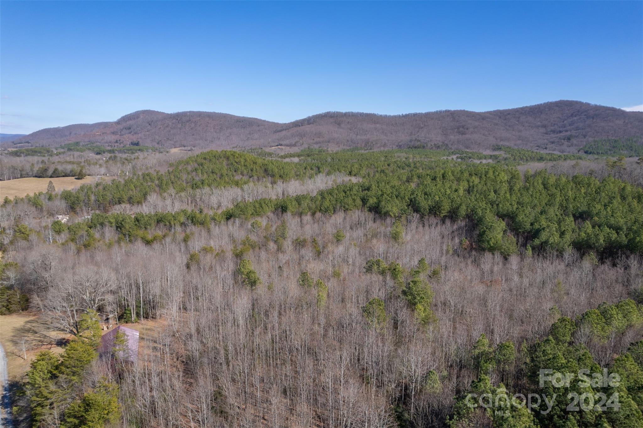370 Depriest Road Bostic, NC 28018 - Photo 19 of 19 a view of a lush green hillside and a houses