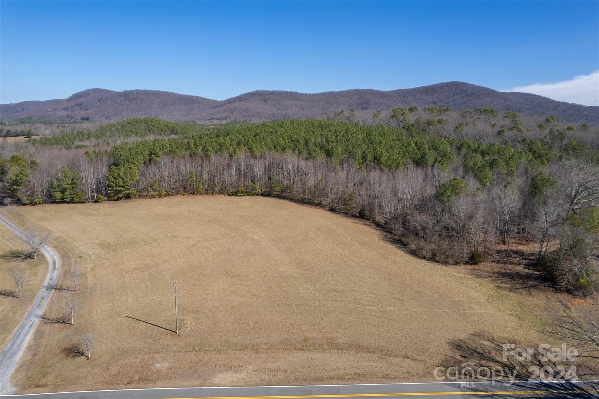 370 Depriest Road Bostic, NC 28018 - Photo 10 of 19 a view of a lush green hillside and a houses