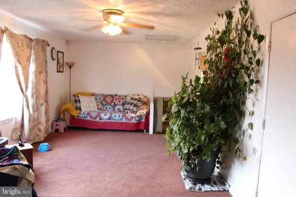 a bedroom with furniture and a potted plant