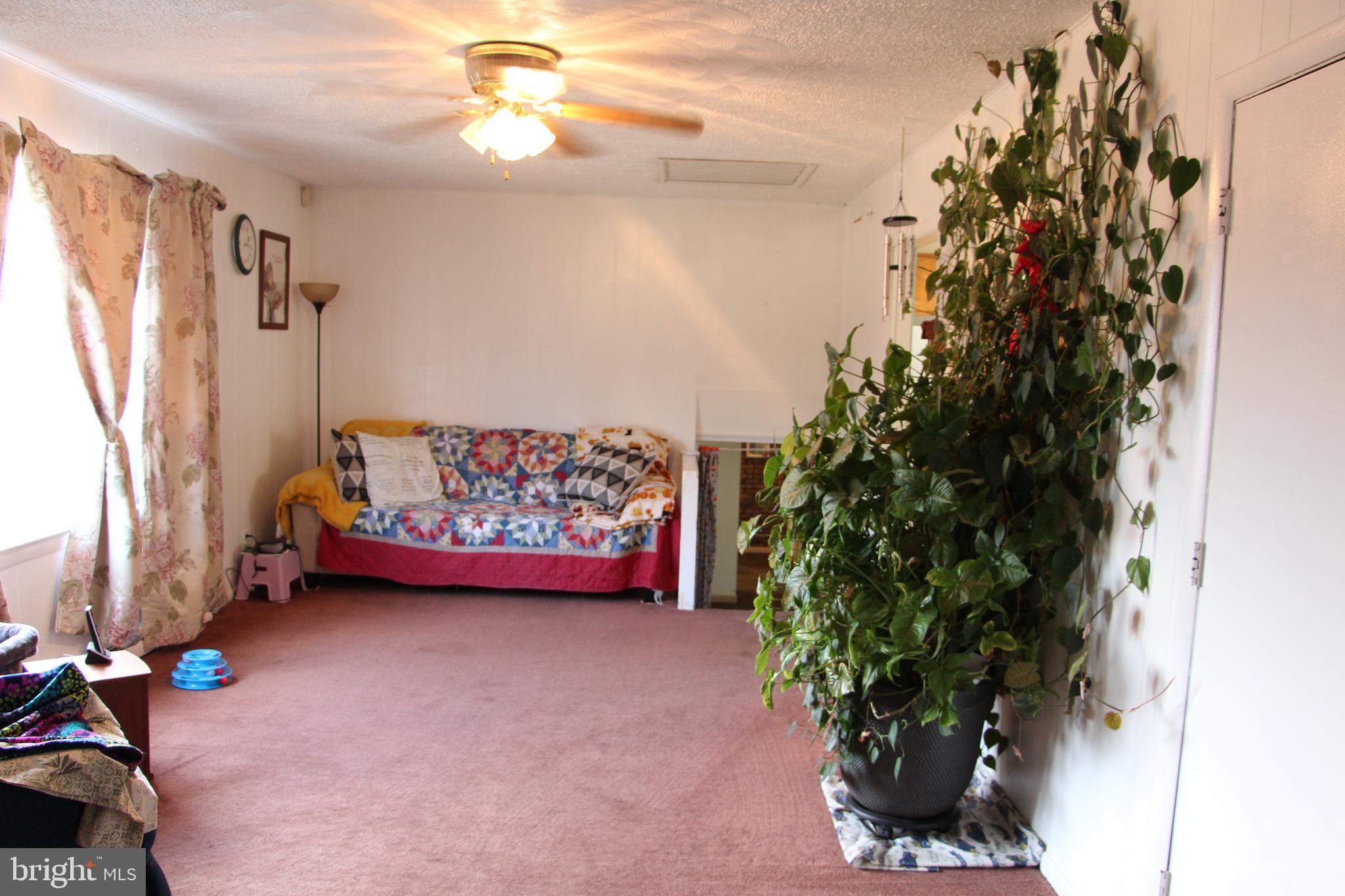 775 Corners Road Cabins, WV 26855 - Photo 12 of 20 a bedroom with furniture and a potted plant