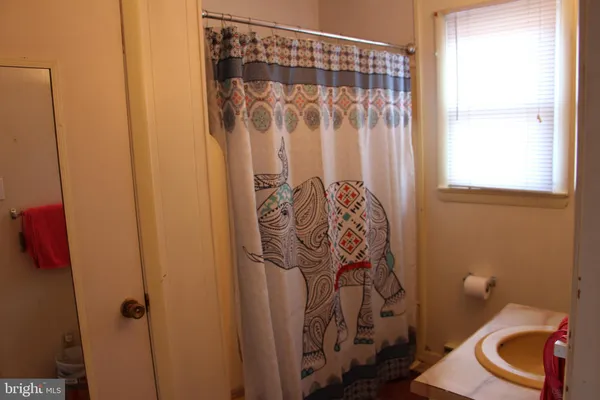 a bathroom with a shower curtain and sink