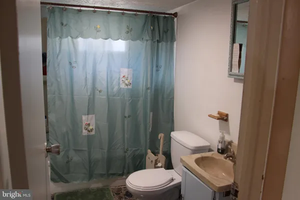 a bathroom with a sink and a toilet