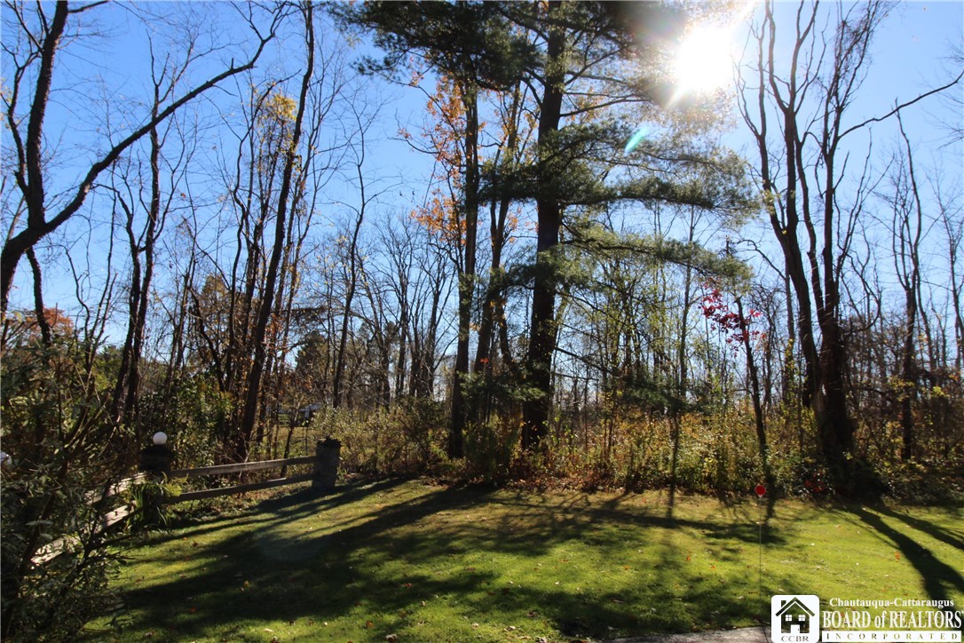 3467 Belleview Road Ellery, NY 14712 - Photo 8 of 40 View of side yard.