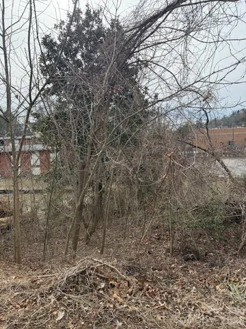 $200,000 | 33 Johnson Drive, Unit 1, Asheville, NC 28804