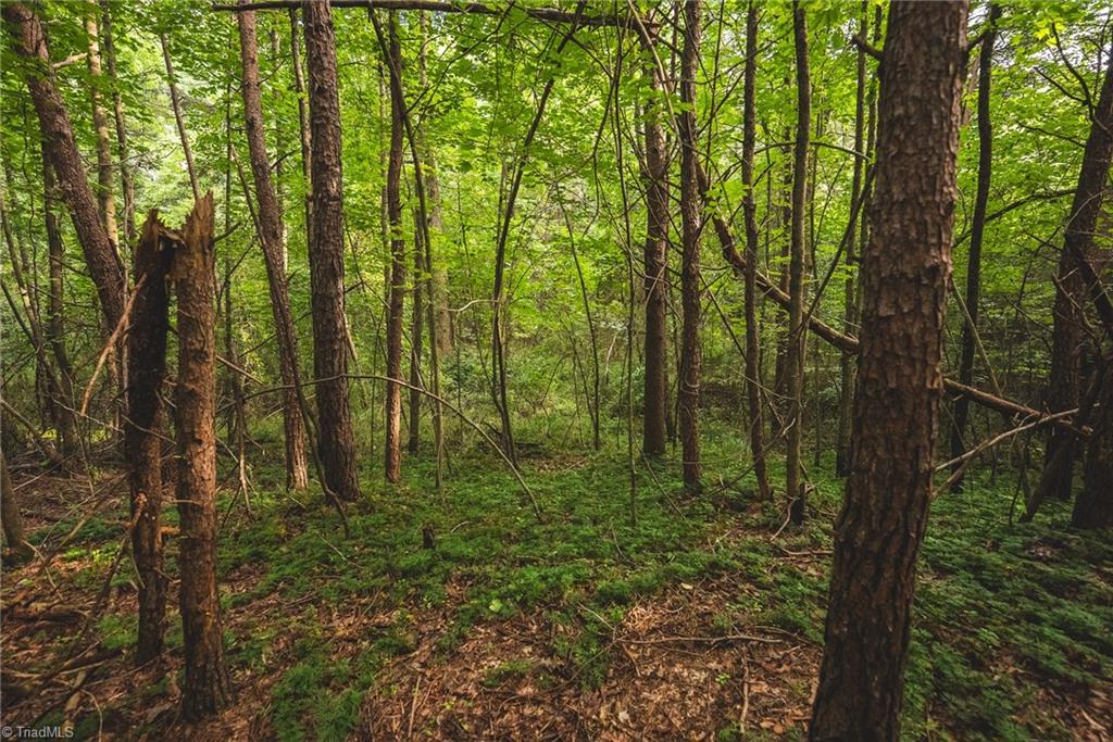 Tbd Johnson Ridge Road Elkin, NC 28621 - Photo 7 of 18