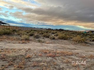 115 Blue Ridge Road Battle Mountain, NV 89820 - Photo 7 of 14 a view of a dry space with lots of trees