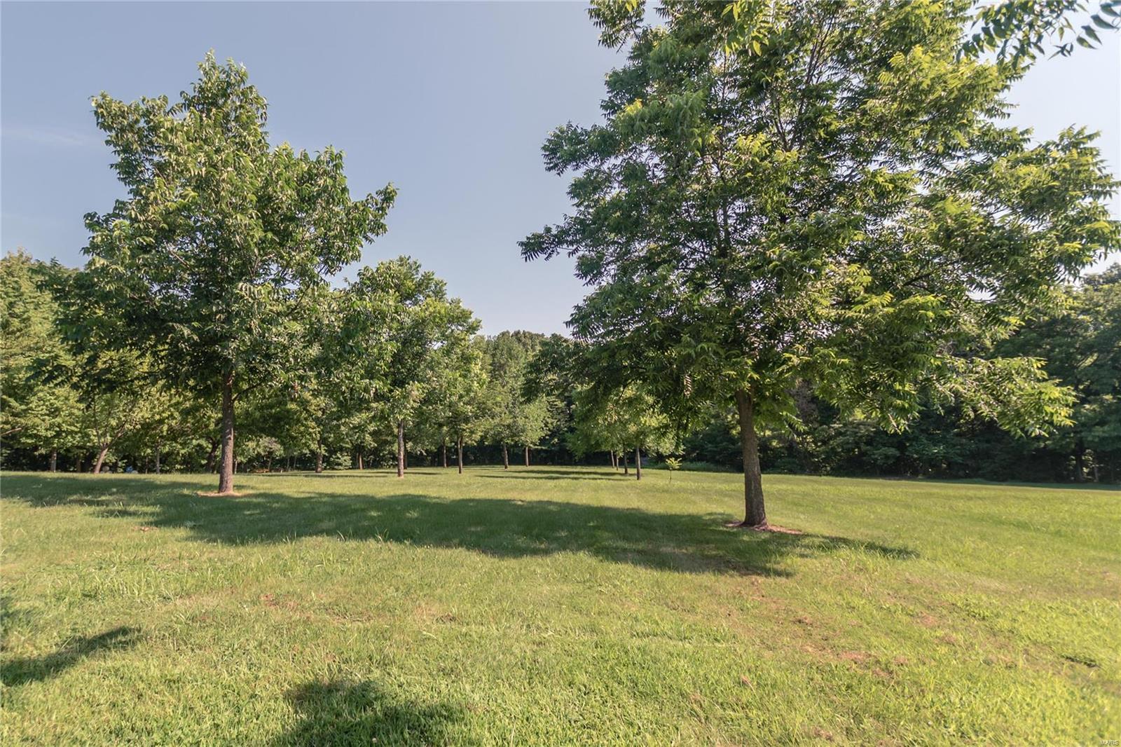7266 D Road Waterloo, IL 62298 - Photo 6 of 40