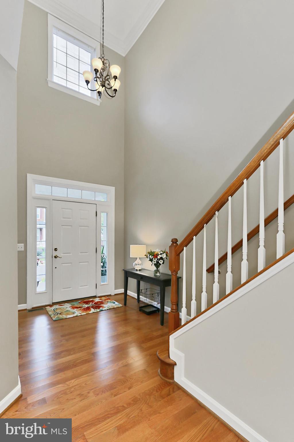42584 Swallowtail Way Brambleton, VA 20148 - Photo 7 of 59