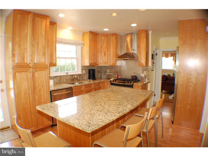 313 Harrington Road Havertown, PA 19083 - Photo 6 of 17