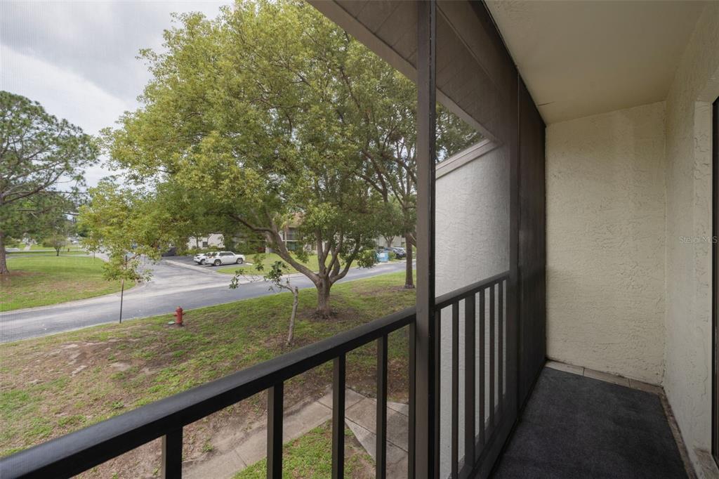 2687 Pine Ridge Way South, Unit B2 Palm Harbor, FL 34684 - Photo 31 of 68 a view of a yard from a balcony