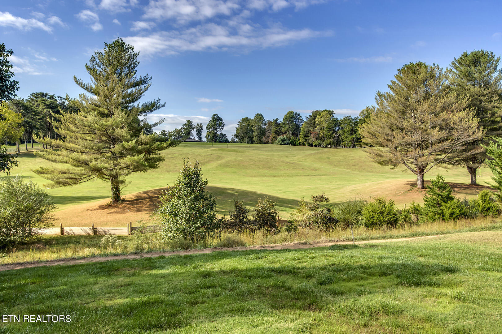 134 Daleyuhski Way Loudon, TN 37774 - Photo 43 of 54 43_DaleyuhskiWay_134_DrivingRangView
