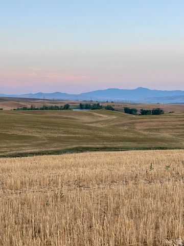 311 East Mail Rte Road Preston, ID 83263 - Photo 6 of 17 Rolling agricultural landscape featuring cultivated fields