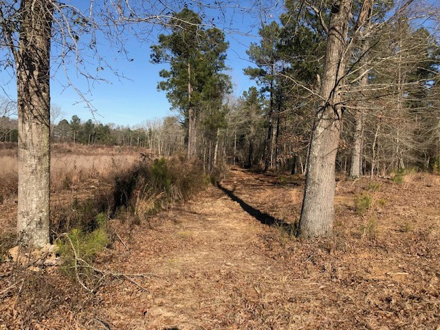 1 D Angela Road Wagener, SC 29164 - Photo 11 of 14