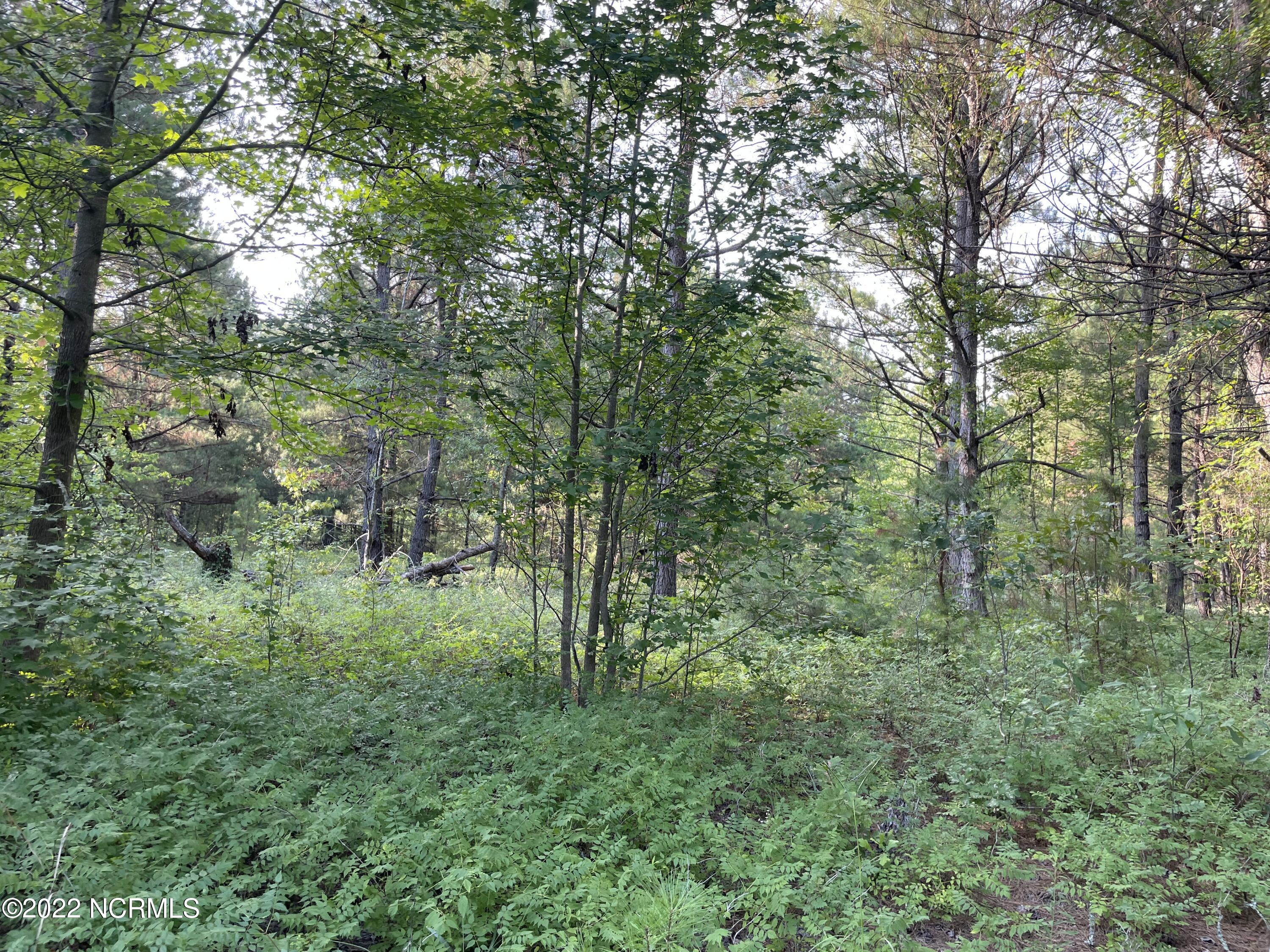 7106 Wire Grass Road Orrum, NC 28369 - Photo 26 of 28 IMG_4694