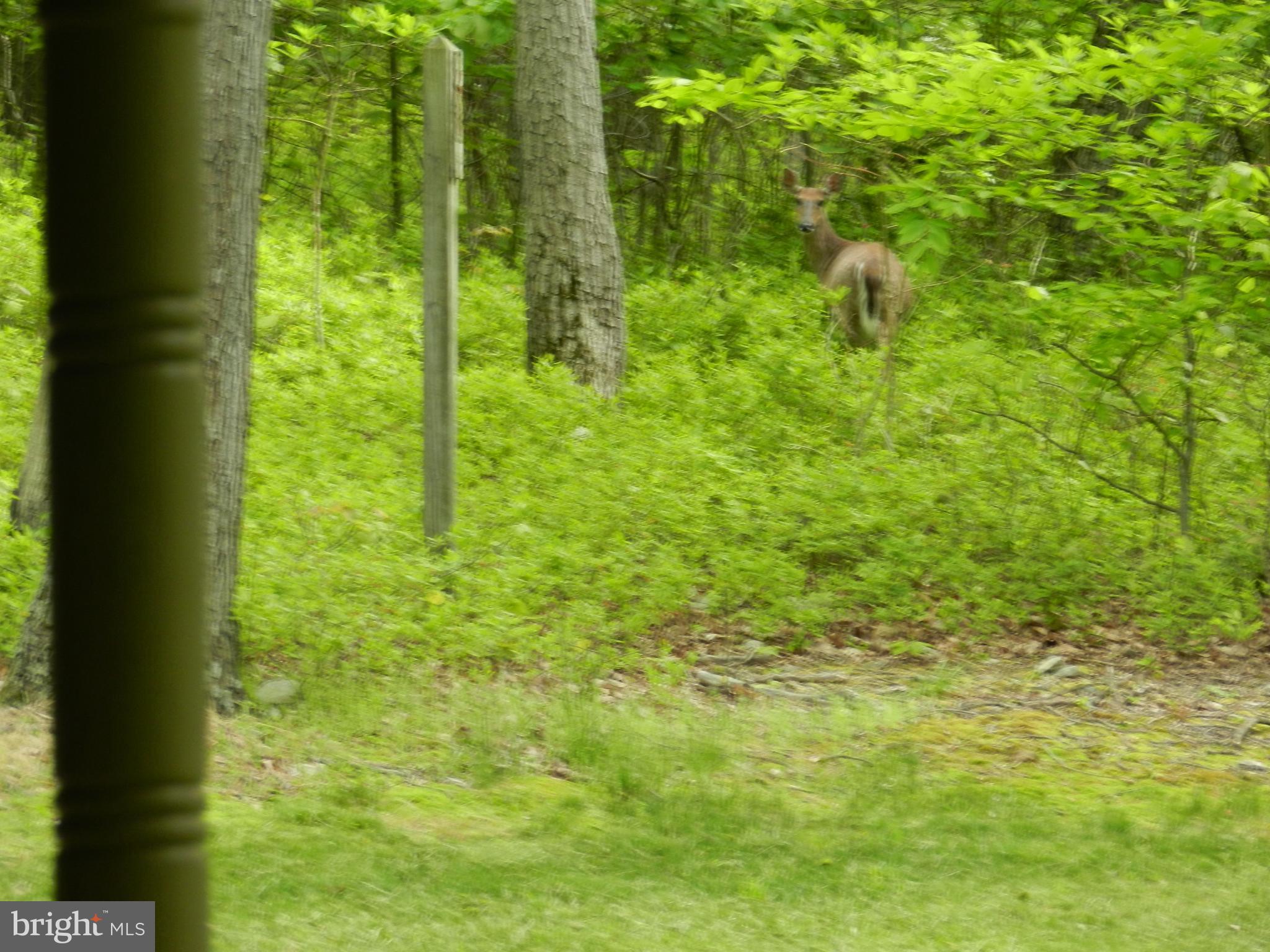 58 Cold Springs Road Dillsburg, PA 17019 - Photo 53 of 55 Gallery Image 53