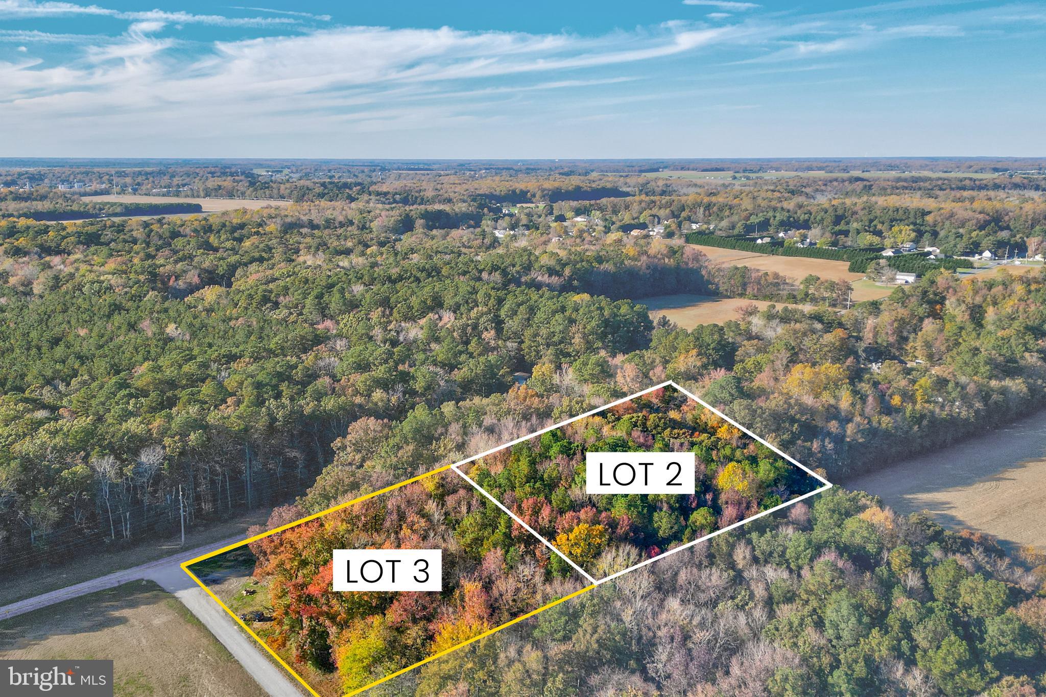 Lot 3 Diamond Farm Road Milton, DE 19968 - Photo 1 of 11 Aerial View