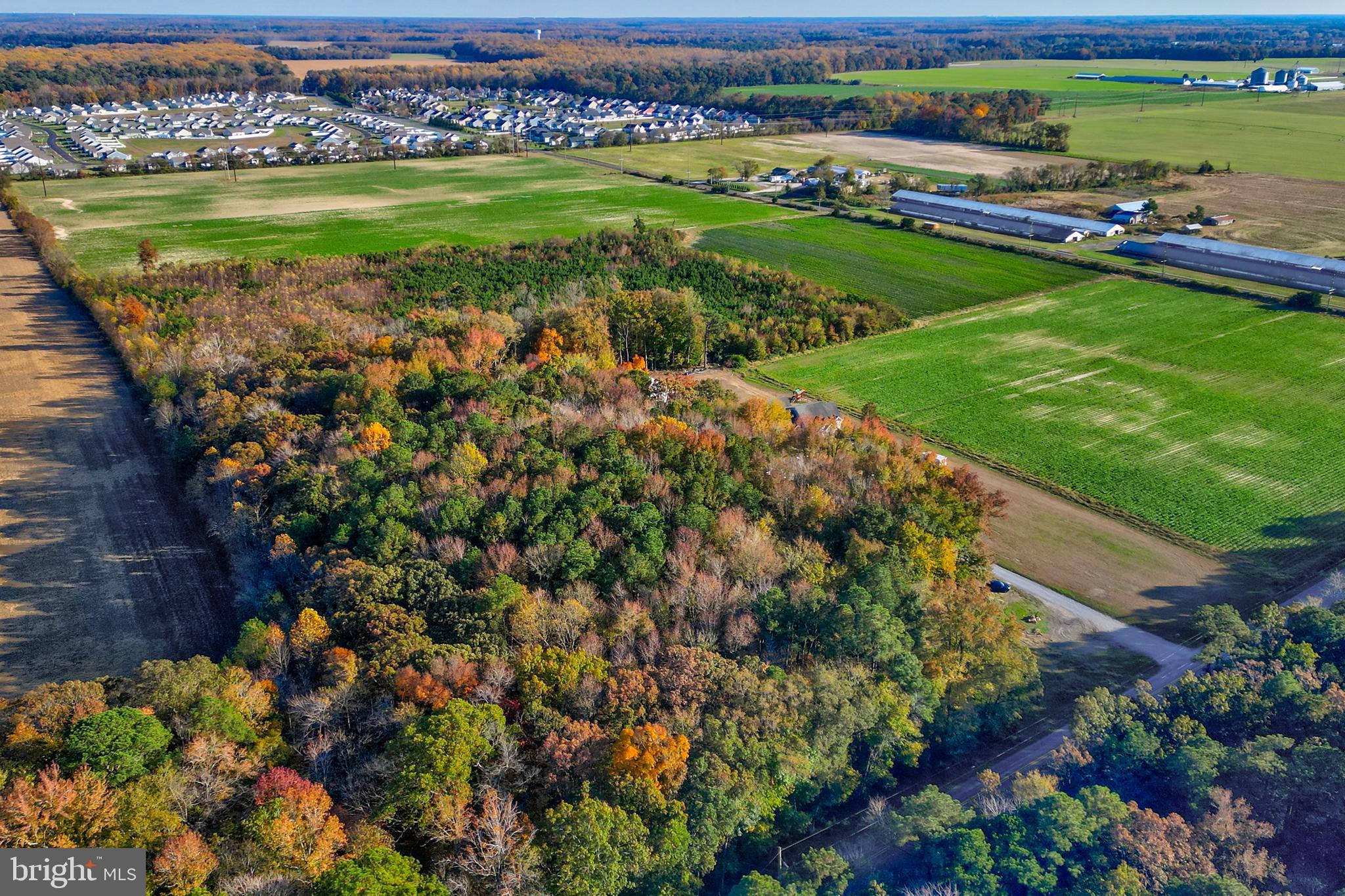 Lot 3 Diamond Farm Road Milton, DE 19968 - Photo 4 of 11 Aerial View