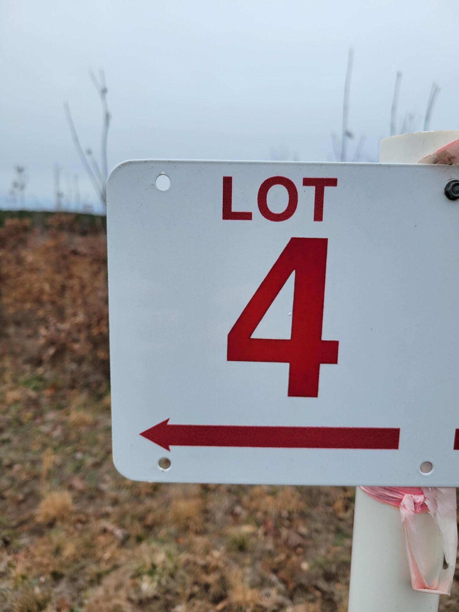 Lot 4 Hubbard Road Long Island, VA 24569 - Photo 2 of 10