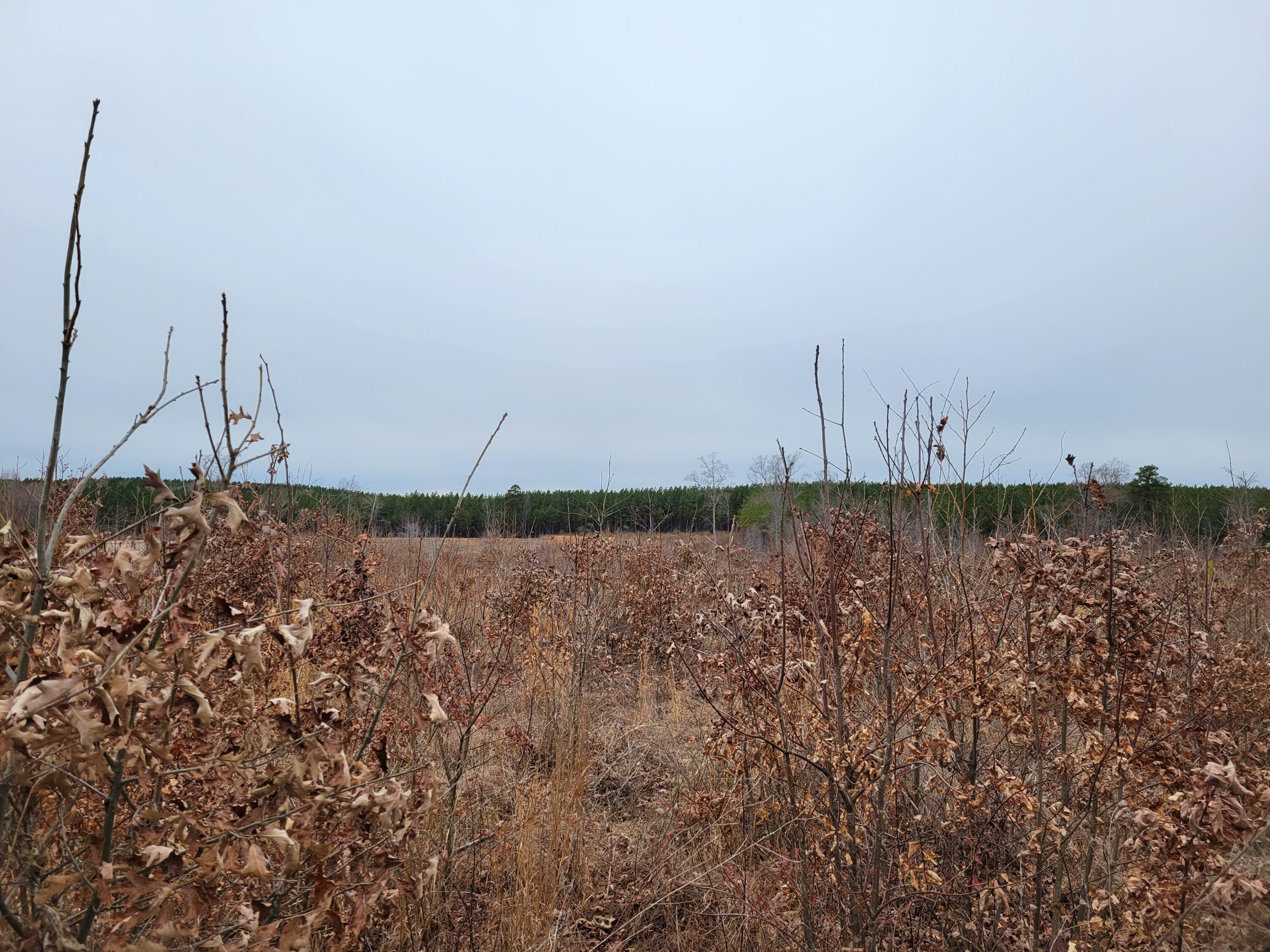 Lot 4 Hubbard Road Long Island, VA 24569 - Photo 4 of 10