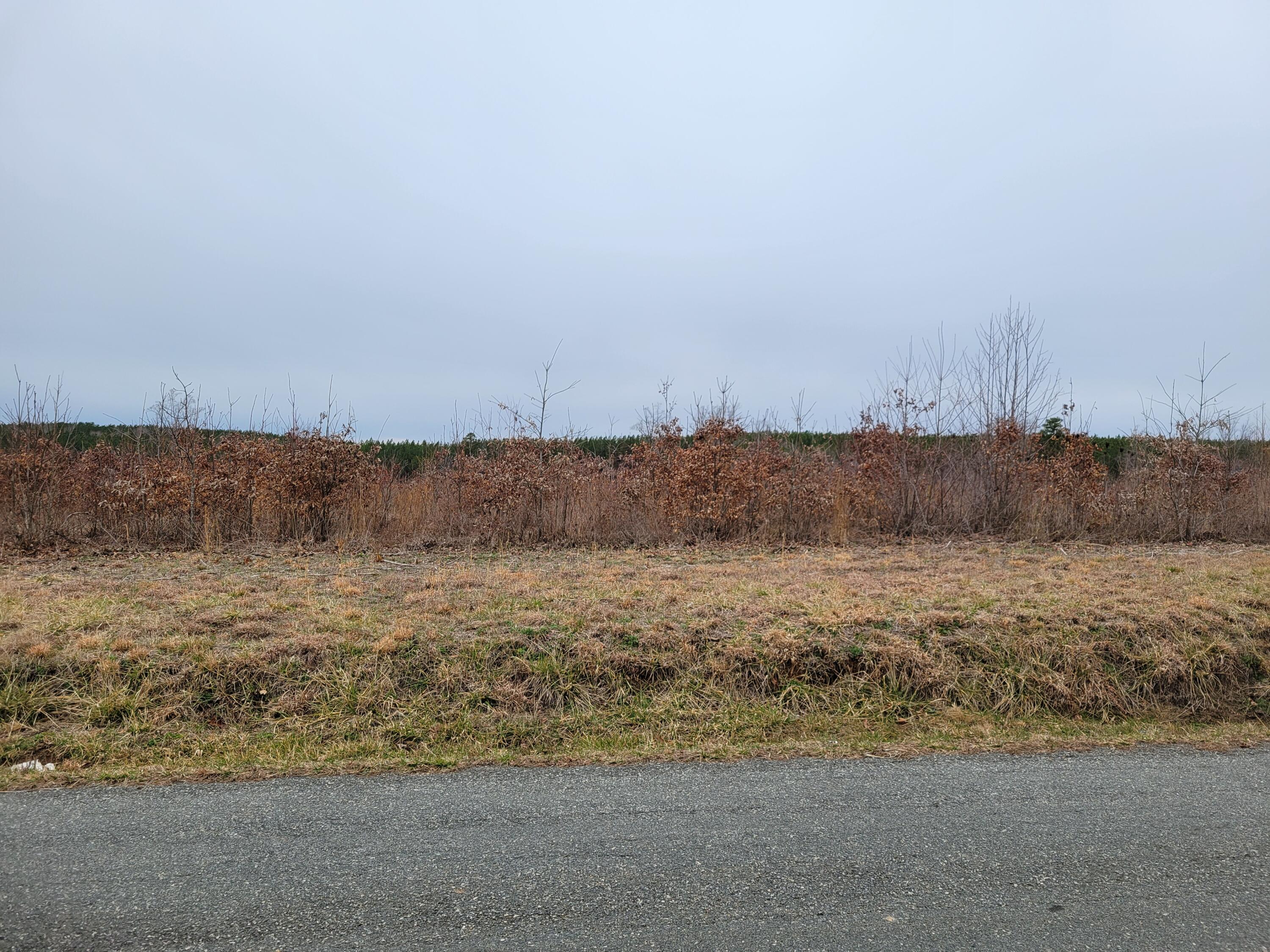 Lot 4 Hubbard Road Long Island, VA 24569 - Photo 5 of 10 a view of lake view and mountain view