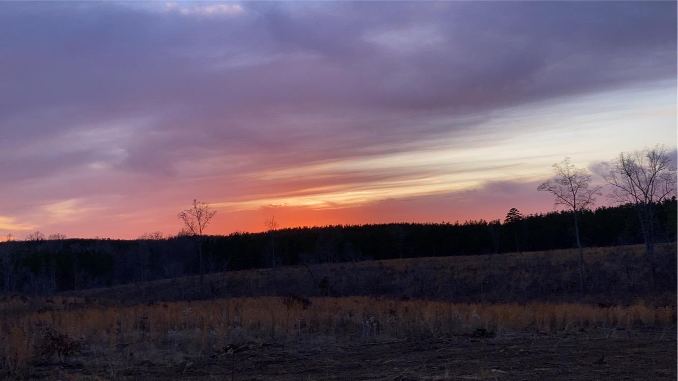 Lot 4 Hubbard Road Long Island, VA 24569 - Photo 6 of 10 a view of sunset and a yard