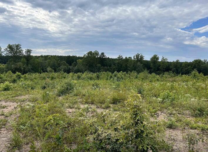 Lot 4 Hubbard Road Long Island, VA 24569 - Photo 8 of 10 a view of a green field with lots of bushes