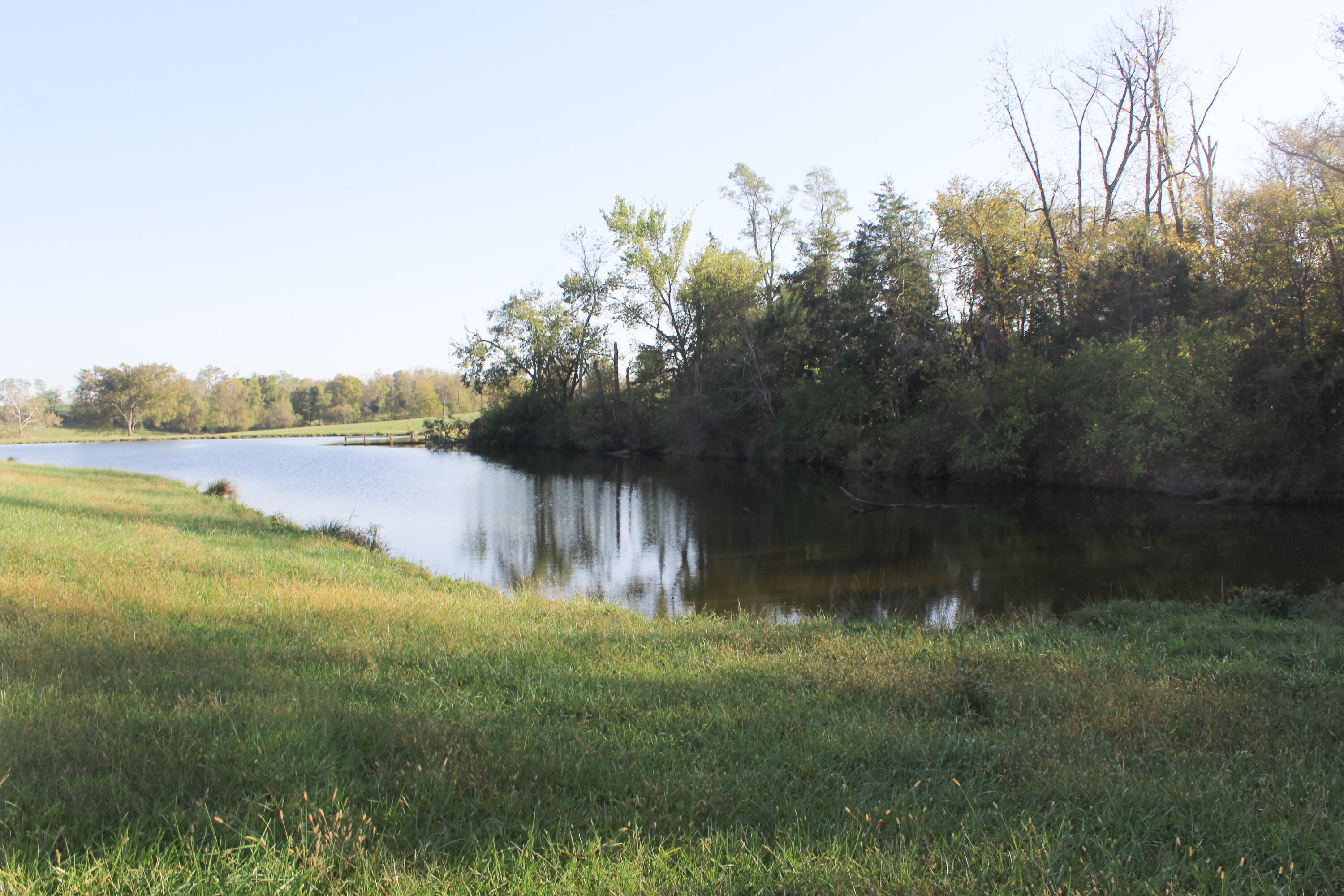 4031 Cynthiana Road Paris, KY 40361 - Photo 32 of 37 IMG_6646