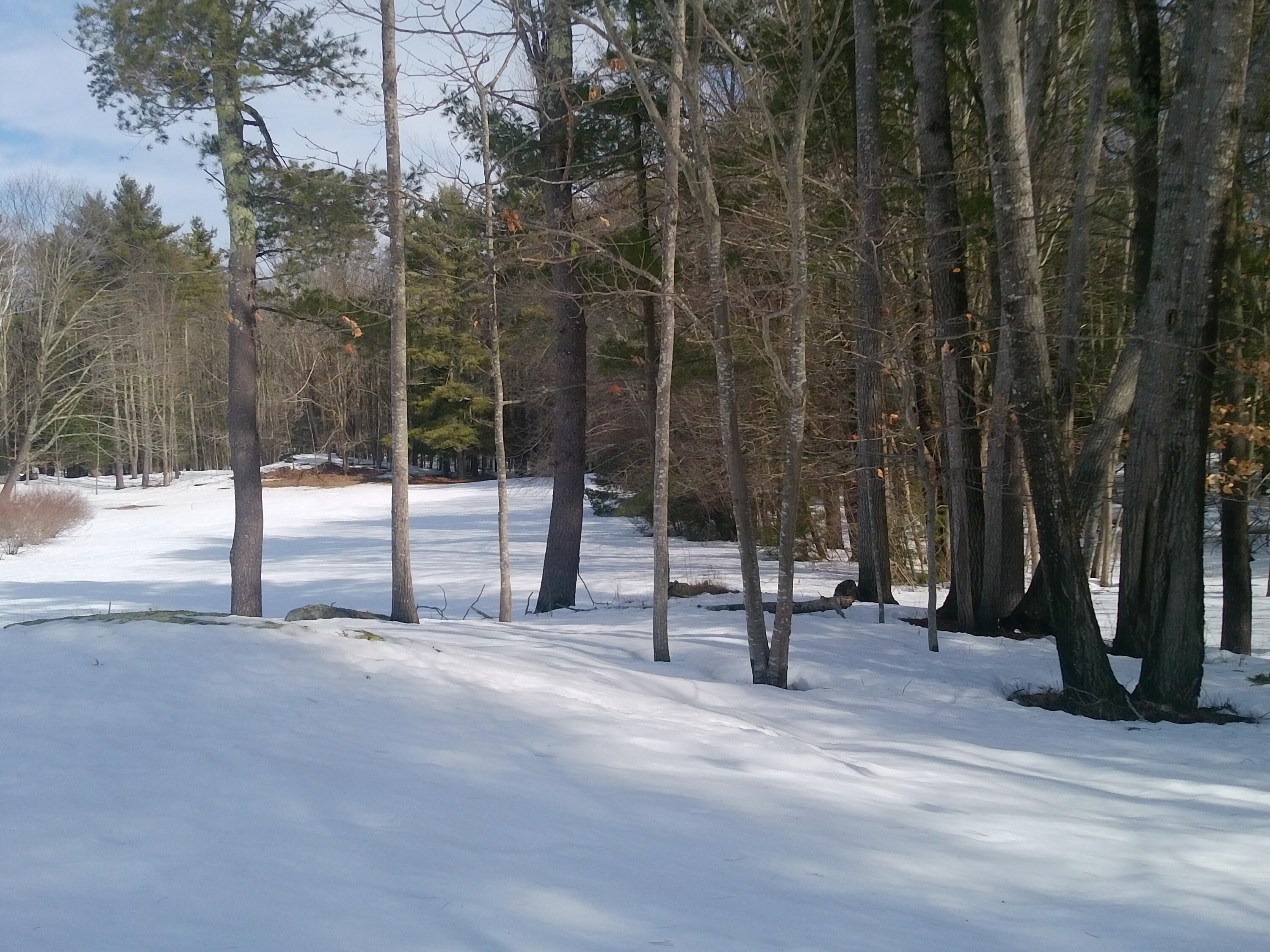 473 Tatnic Road Wells, ME 04090 - Photo 105 of 110 DSCF0128