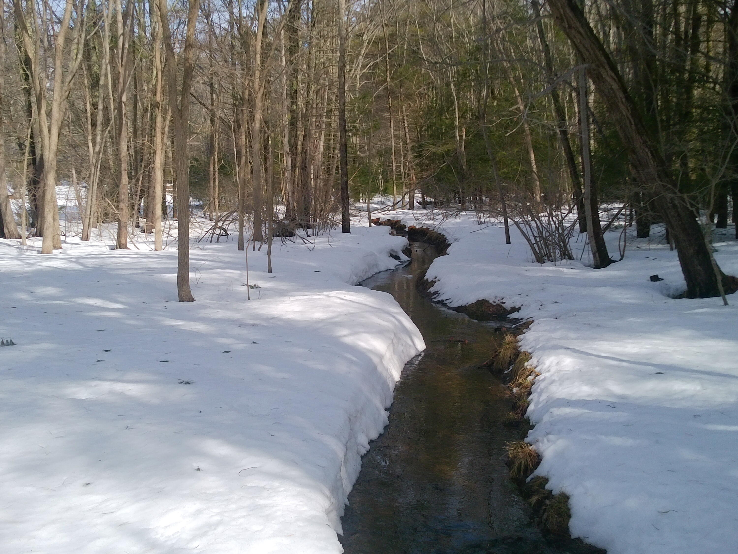 473 Tatnic Road Wells, ME 04090 - Photo 106 of 110 DSCF0129