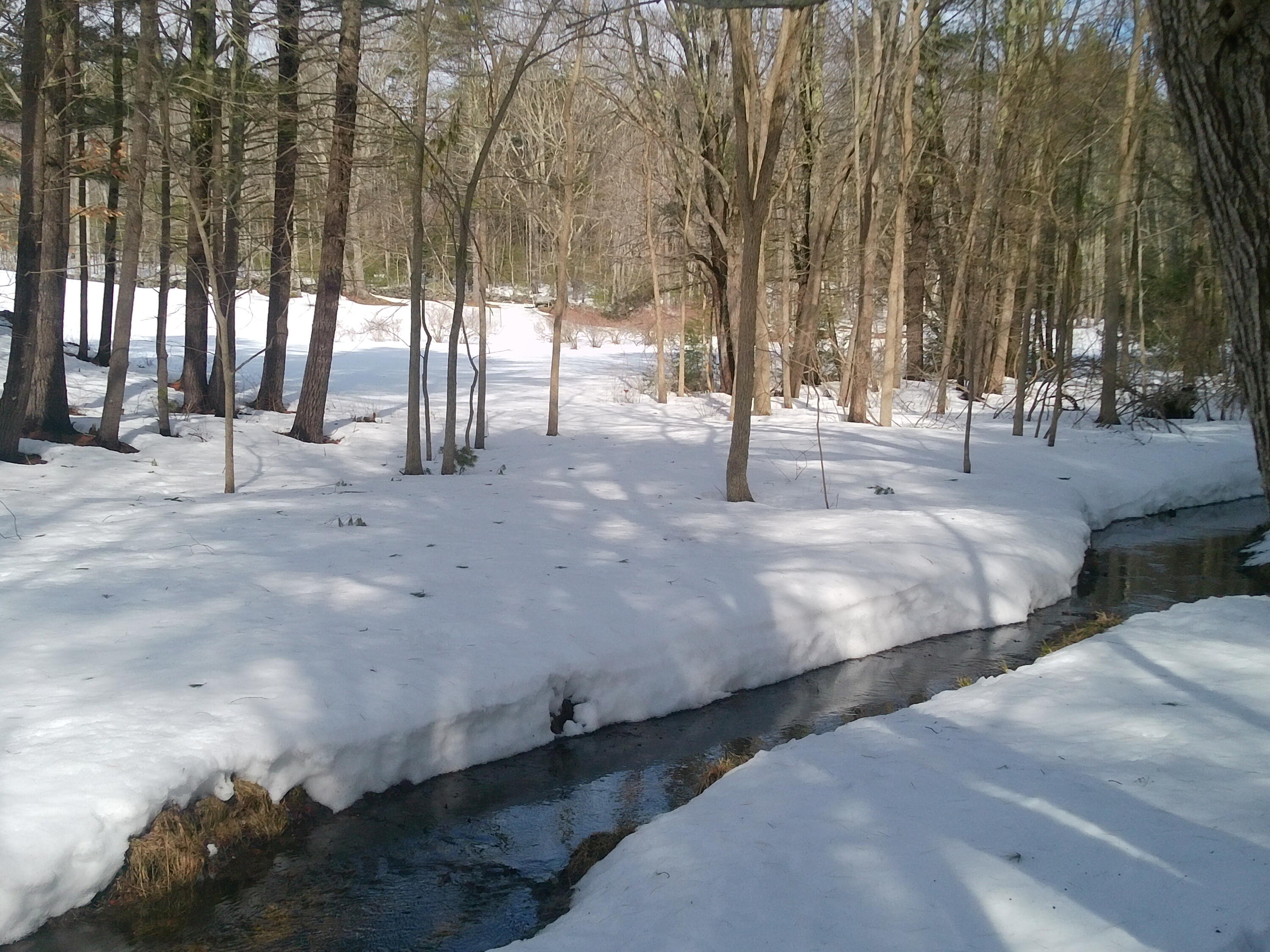 473 Tatnic Road Wells, ME 04090 - Photo 107 of 110 DSCF0130