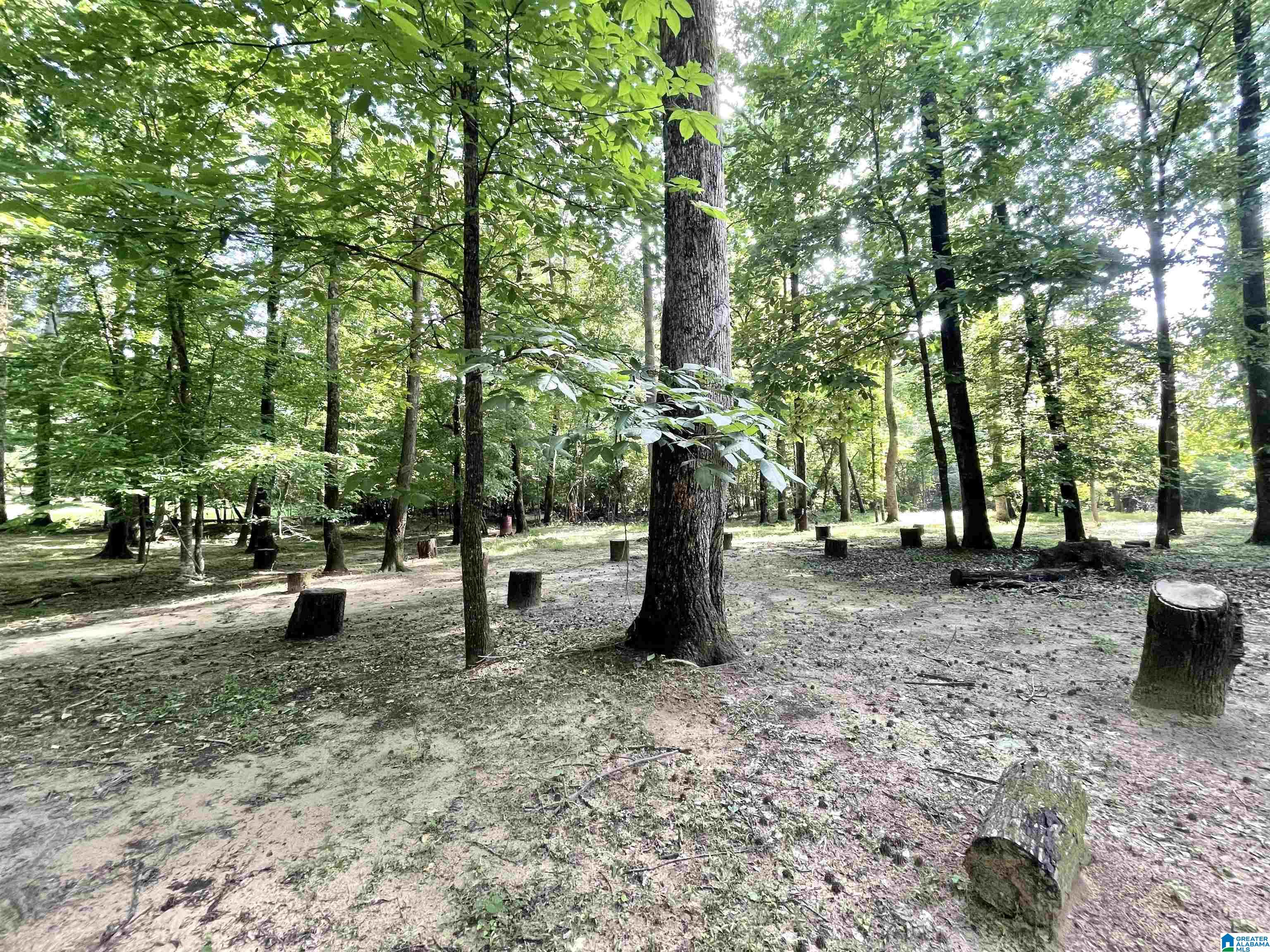 117 Hunset Mill Lane Pelham, AL 35124 - Photo 44 of 59